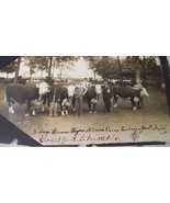 c1915 ANTIQUE LAFAYETTE IL FAIR LONGHORN COW BULL PHOTO PEOPLE IDENTIFIED - £20.07 GBP