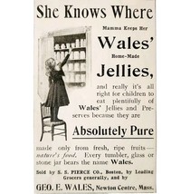 Wales Jelly Preserves 1897 Advertisement Victorian Massachusetts ADBN1A9 - $378.90 MXN