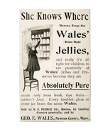 Wales Jelly Preserves 1897 Advertisement Victorian Massachusetts ADBN1A9 - $19.99