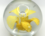 Vintage Glass Daffodil Paper Weight U258/25 - £32.06 GBP