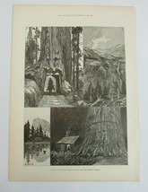 Antique 1888 Print Californian Sketches Mammoth Trees Rocks and Mountain... - $39.99