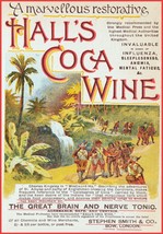 12886.Decor Poster.Wall art.Room vintage interior design.1889 Coca wine ... - £13.66 GBP+