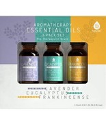 Aromatherapy Essential oils (Lavender, Eucalyptus, Frankincense) 3 Pack - $150.19 MXN