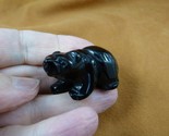 Y-BEA-WA-578 little Black onyx BEAR FIGURINE gemstone I love grizzly bea... - £14.61 GBP