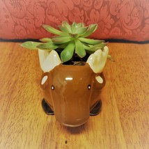 Echeveria Succulent in Ceramic Animal Planter, 5" Brown Moose Glazed Pot + Plant image 2