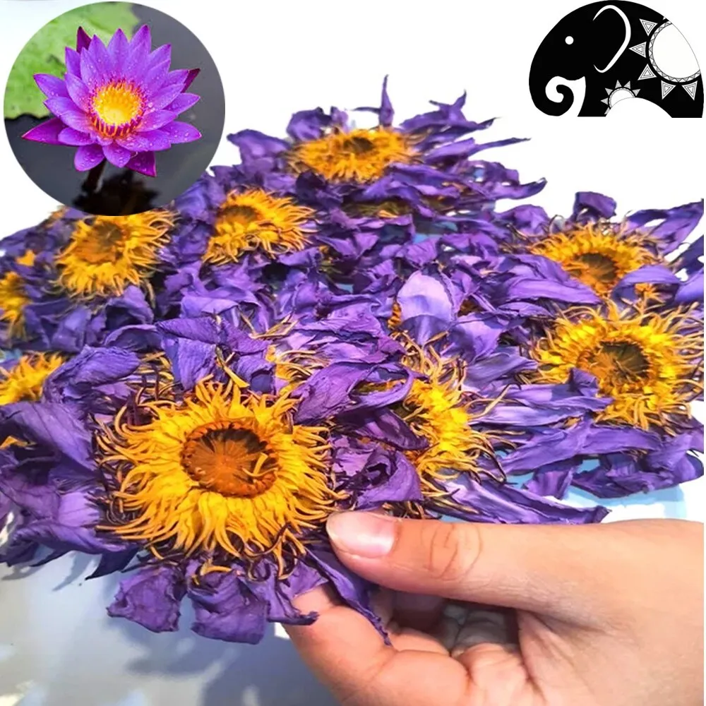 Blue Lotus Nymphaea Caerulea Hand Picked Sun Dried Flowers Pure Herbal O... - $9.99+