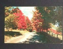 Vermont Fall Autumn Foliage Country Road Street c1950s Vintage No.33245 Postcard - £3.98 GBP