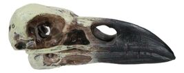 Gothic Reliquary Raven Crow Skull Small Pendant Sacred Talisman Macabre ... - $14.99