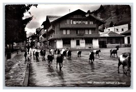 RPPC Mucche Walking Down Street Vista Zermatt Svizzera Cartolina S13 - £15.17 GBP