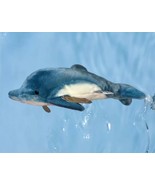 NWT Ocean Sea animal 11&quot; Russ YOMIKO CLASSICS Plush BLUE WHITE Stuffed D... - $244.84 MXN