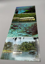 Postcard Silver Springs FL Attached  Underwater View Glass Bottom Boat  ... - $7.66