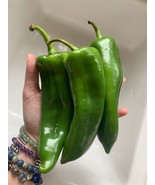 25 Anaheim Chile Hot Pepper Organic Mild Vegetable Heirloom Seeds - $11.75