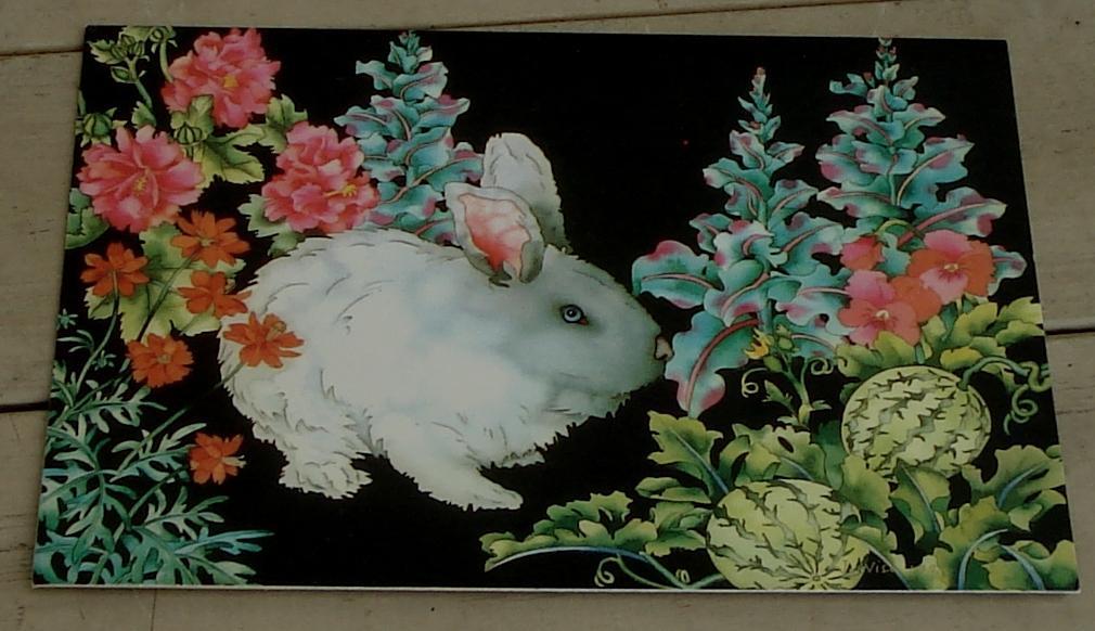 Nice NEVER USED Vintage Blank Greeting Card, GREAT CONDITION - $1.97