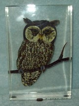 Owl Lucite Reverse Carved Hand Painted 5 x 3 signed 1976 Good Cond Vintage - $12.00