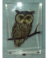 Owl Lucite Reverse Carved Hand Painted 5 x 3 signed 1976 Good Cond Vintage - $12.00