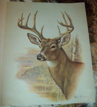 Ruane Manning Deer Print 11 x 17 1999 EC unframed - $13.00