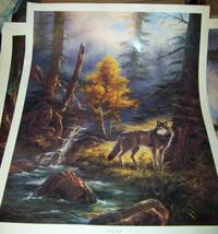 Rudi Reichardt Timber Wolf Poster Print 24 x 32 VGC unframed - $13.00