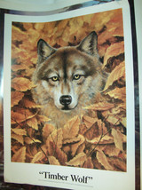 George Wise 1995 Timber Wolf Poster Print Unframed 18 x 24 VGC - $13.00