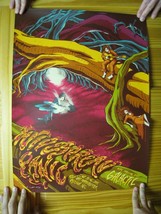 Widespread Panic Poster Raleigh NC Signed James Flames Artist Proof - $449.99