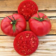 BPA 50 Seeds Pink Ponderosa Tomato Seeds Organic Heirloom Vegetable Garden Conta - £7.18 GBP