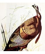 Wild Turkey Bird 1950 Lithograph Art Print Audubon Nature First Edition ... - $556.66 MXN