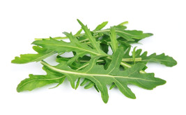 500 Rocket Arugula Seeds Fresh Fast Shipping - $3.36