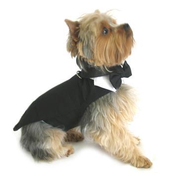 Black Dog Harness Tuxedo w/Tails, Bow Tie, and Cotton Collar - $89.99