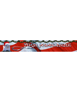 Eagle Santa Hat Christmas in July Custom Designed Web Banner 136a - $131.93 MXN