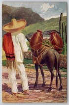 Mexico Tipo Indigena Mexican IndianMan Sombrero With Donkey Artist Postc... - $9.95