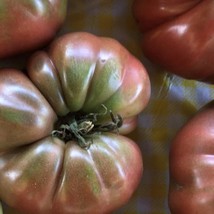 New Fresh Purple Cherokee Tomato Seeds Organic - $4.50