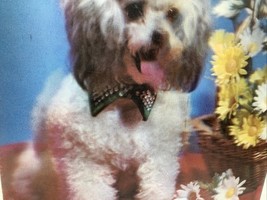 Item image 4