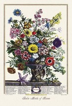 Twelve Months of Flowers 20 x 30 Poster - £20.76 GBP