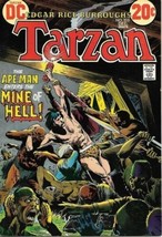 Tarzan Comic Book #215 DC Comics 1972 VERY GOOD+ - £5.58 GBP