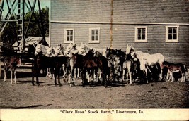 Vintage POSTCARD- &quot;Clark Bro.S&#39; Stock Farm&quot; Livermore, Iowa BK56 - £4.15 GBP