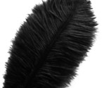 20 Pcs Black Ostrich Feathers Plumes 12-14 Inch(30-35 Cm) Bulk For Diy H... - $33.99