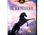 The Black Stallion (DVD, 1979, Widescreen)  Kelly Reno  Teri Garr  Micke... - $6.78