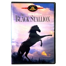 The Black Stallion (DVD, 1979, Widescreen)  Kelly Reno  Teri Garr  Mickey Rooney - £5.41 GBP