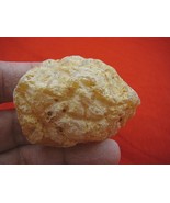 (k-3079) 50 g Rare Kauri tree Gum copal young Amber New Zealand Tane Mahuta - €55,86 EUR