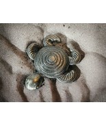 Pewter or Pewter-Look Textured Turtle or Sea Turtle Necklace  Pendant 1.75&quot; - $16.51 CAD