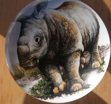Cabinet Knob  rhinoceros Calf Baby WILDLIFE - $5.25