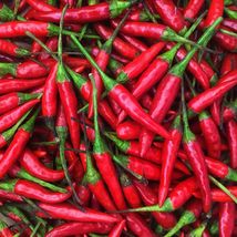 150 Seeds Thai Hot Pepper NON-GMO Vegetable Plant - £14.38 GBP