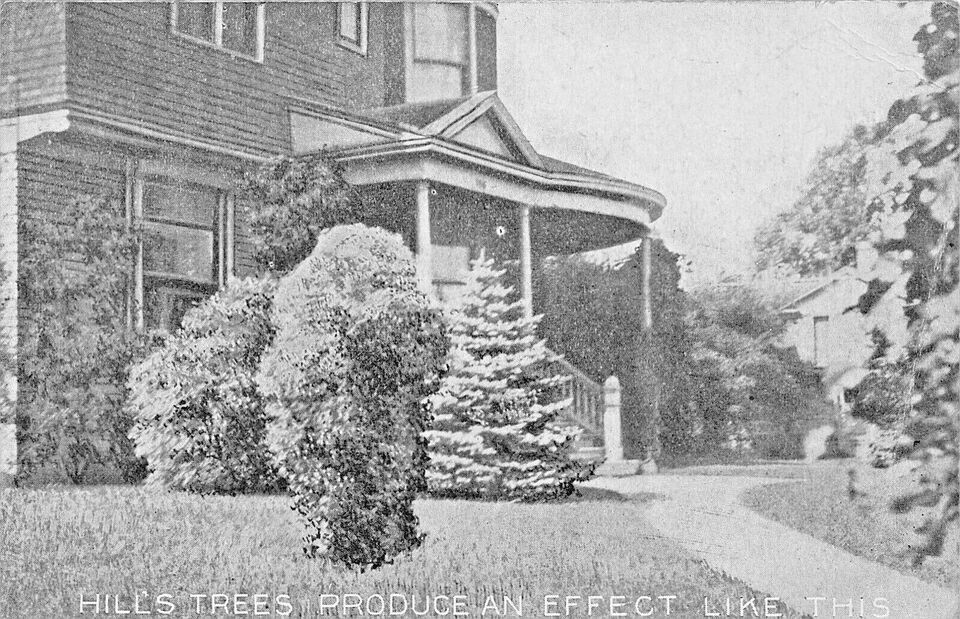 Primary image for DUNDEE ILLINOIS-D HILL TREES-EVERGREENS-SHRUBS-FRUITS~1910 ADVERTISING POSTCARD
