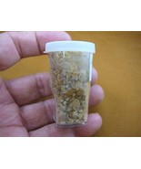 k-5604 16 g Kauri tree Metaphysical incense chip dust copal Amber NZ Tan... - $17.75