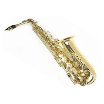 Holiday Sale Sky Alto Saxophone Hard +Soft Case High #F+ Reeds Sax *Great Gift* - £263.77 GBP
