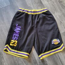 UNK NBA Los Angeles Lakers Lebron James 23 Basketball Shorts Men's L Bas... - $16.82