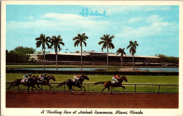 Vtg Postcard A Thrilling Race at Hialeah Racecourse, Miami, Fla, Postmarked 1966 - £4.82 GBP