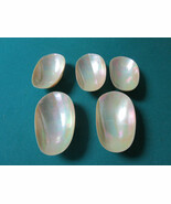 NAUTILIUS CREAM COLOR 5 HALF SHELLS NICE CUT 1 1/2 x 5 x 3&quot; SOFT SURFACE - $86.88 CAD