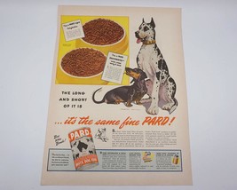 Pard Dog Food Dachshund Magazine Ad Print Design Advertising - $12.86