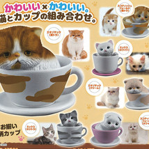 Kittens in Cup Mini Figure Collection - $13.99