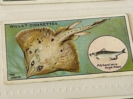 WD HO Wills Cigarettes Tobacco Trading Card 1910 Fish &amp; Bait Skate #18 m... - $19.69